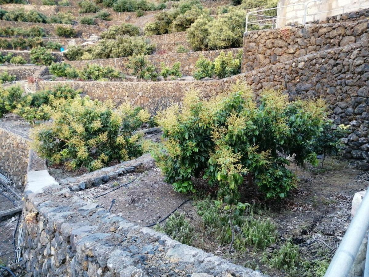 Appartamento Independent House In Rural Setting La Orotava Esterno foto
